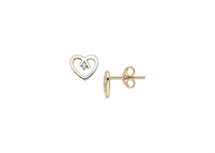 2 Tone Plated | Fashion Earrings